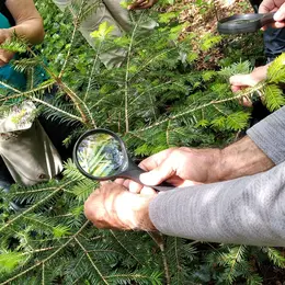 Détective en herbe, Île de Vassivière