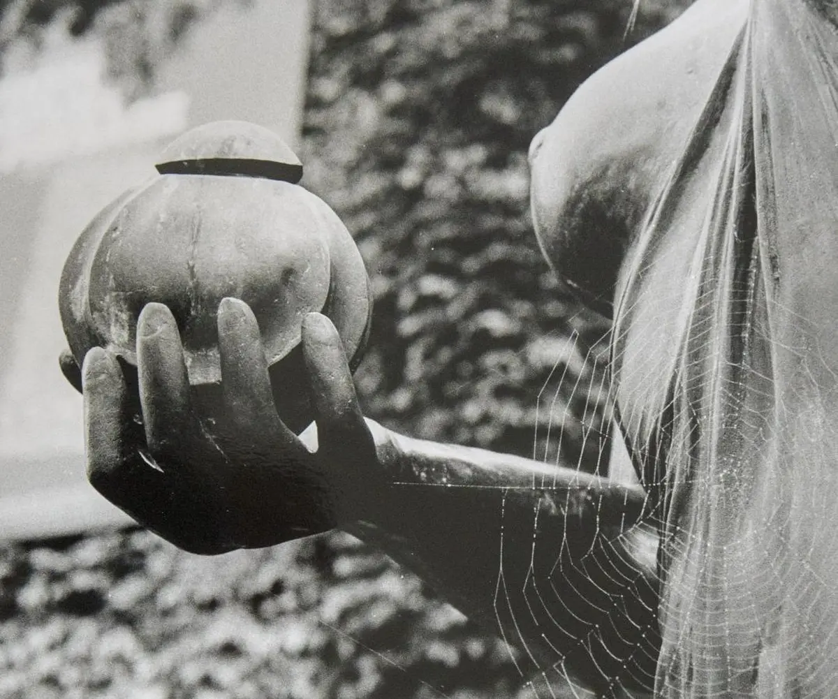 Deux regards sur l'argentique