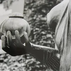 Deux regards sur l'argentique