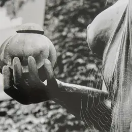 Deux regards sur l'argentique