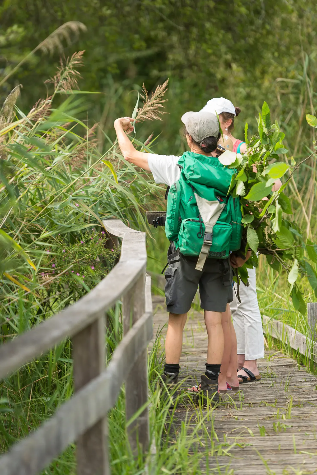 Deux réserves naturelles, deux voix en chœur au marais de Bonnefont