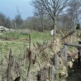 L'Alsace prise dans la Grande Guerre