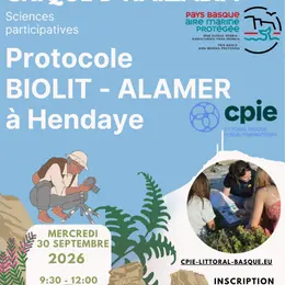 Devenez observateur du littoral basque et découvrez la richesse de la biodiversité