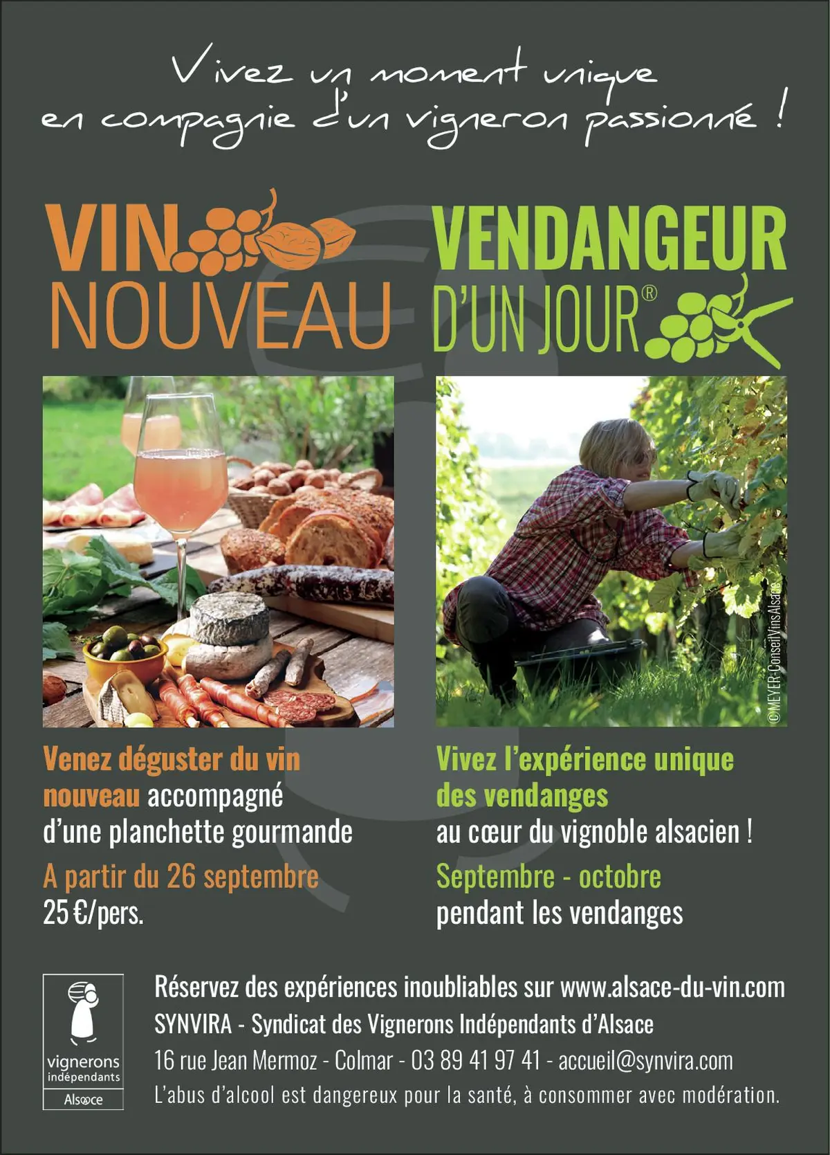 Devenez vendangeur d’un jour en Alsace