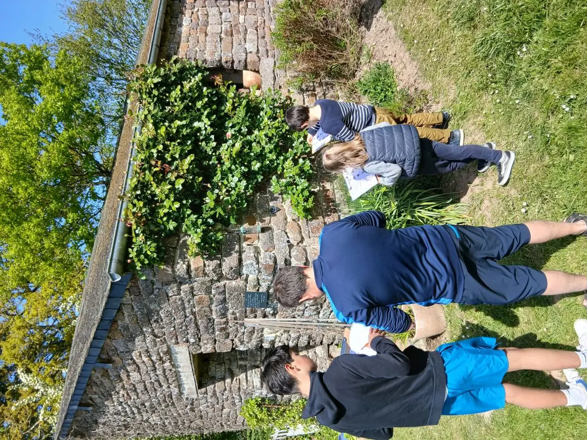 Deviens le gardien des oiseaux de l'Abbaye de La Lucerne
