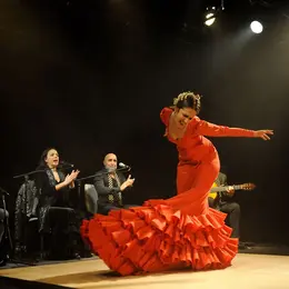 Flamenco 