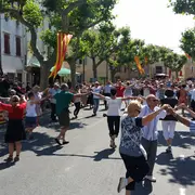 Diada Catalana