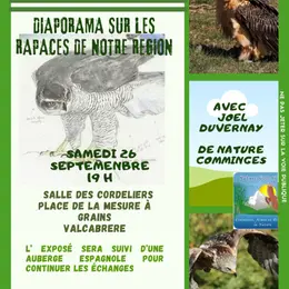 Diaporama Sur Les Rapaces