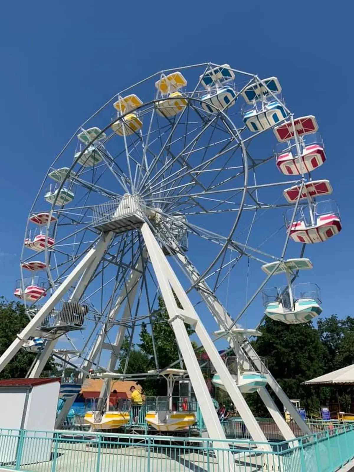 Grande roue de Didi'land