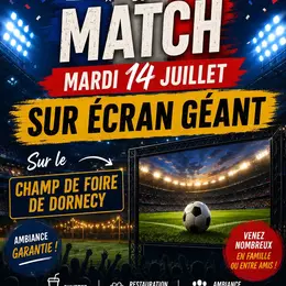 Diffusion de la demi-finale de la coupe du mon de football : Espagne-France