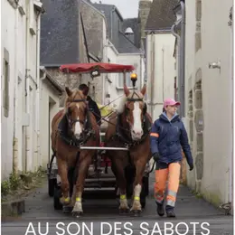 Diffusion du film Au son des sabots, suivie d'un ciné débat
