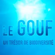 Diffusion du film documentaire Le Gouf, un trésor de biodiversité