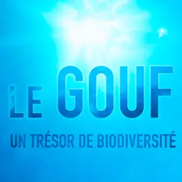 Diffusion du film documentaire Le Gouf, un trésor de biodiversité