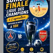 Diffusion en direct de la Finale de la Ligue des Champions