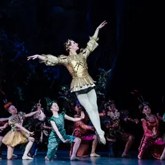 Diffusion Micro-Folie : ballet Le Songe d’une nuit d’été
