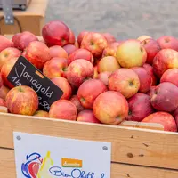 Le marché bio à Lahr &copy; Tobias Stampf 