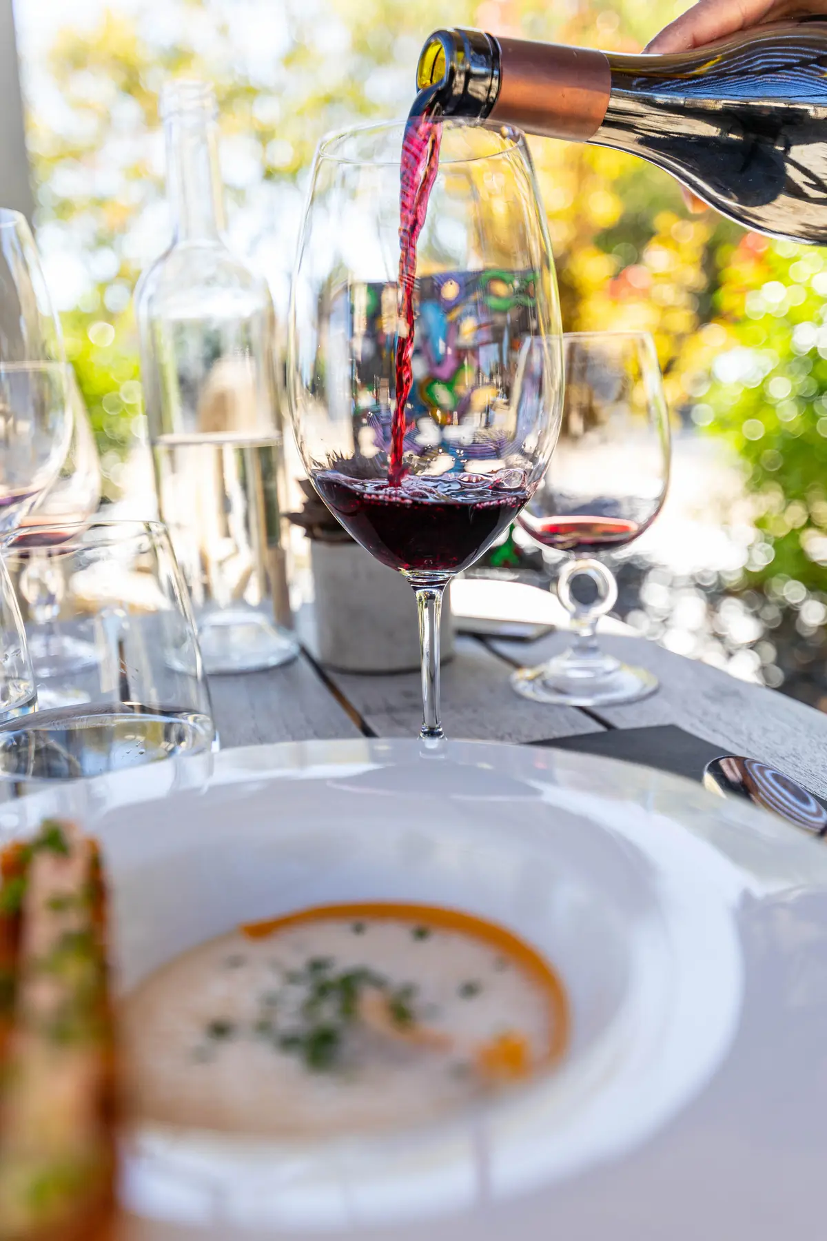 Diner caritatif au Château du Roussillon