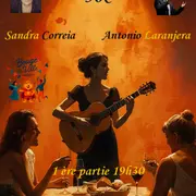 Diner spectacle Fado