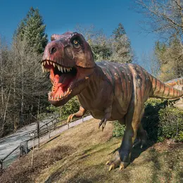 Dino-Zoo