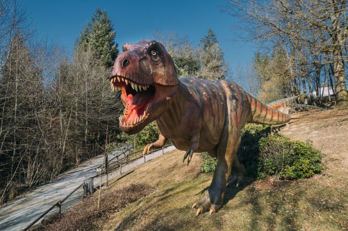 Le Tyrannosaurus-Rex du Dino-Zoo