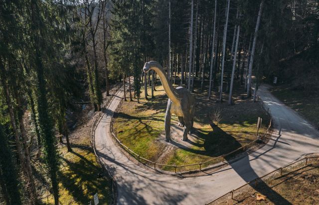 Dino-Zoo