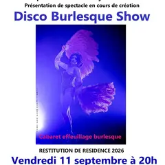 Disco Burlesque Show