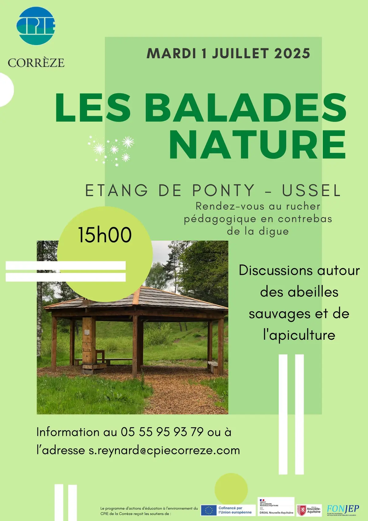 Discussions autour des abeilles sauvages et de l'apiculture