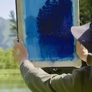 Disparition des lucioles