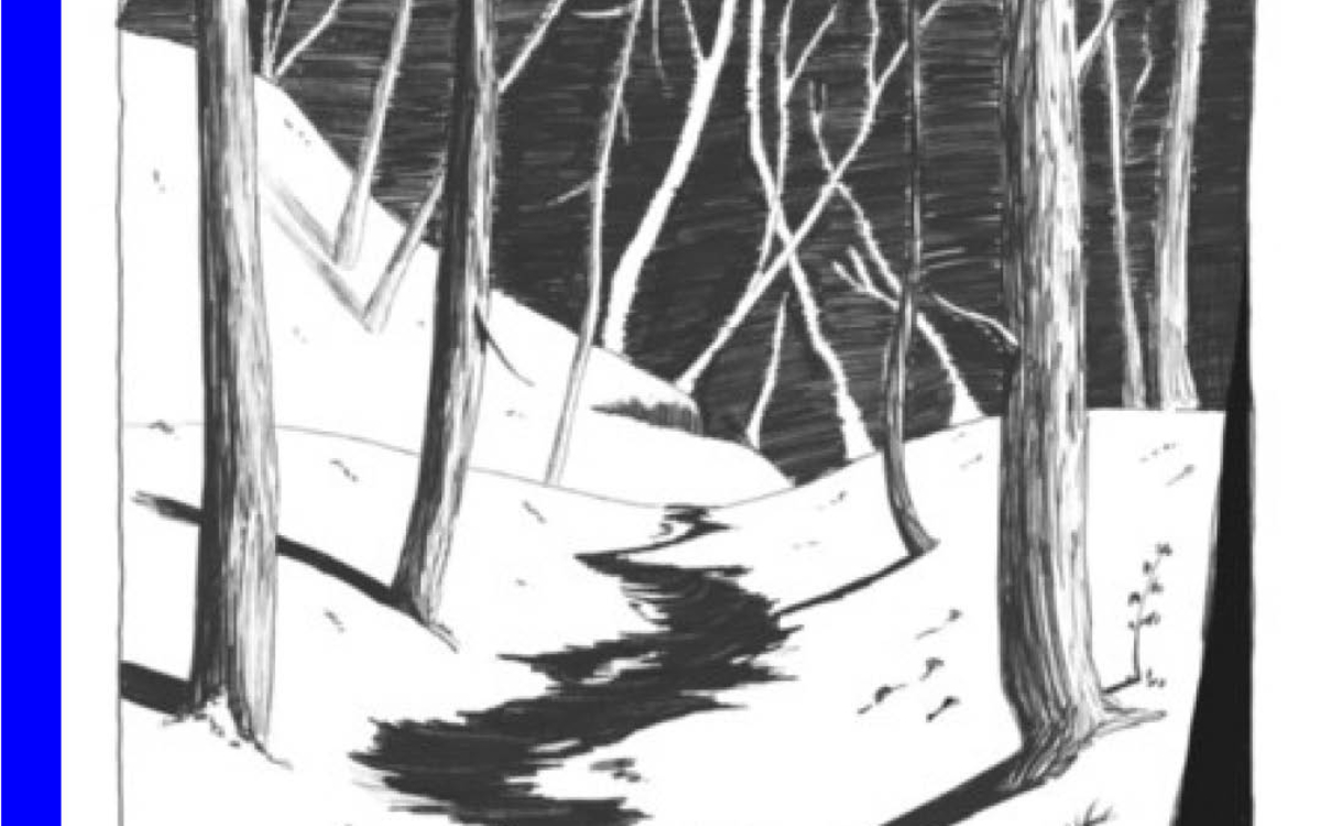 Dissection d'une chute de neige, carte blanche de Souad Dantas