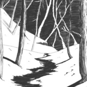 Dissection d'une chute de neige