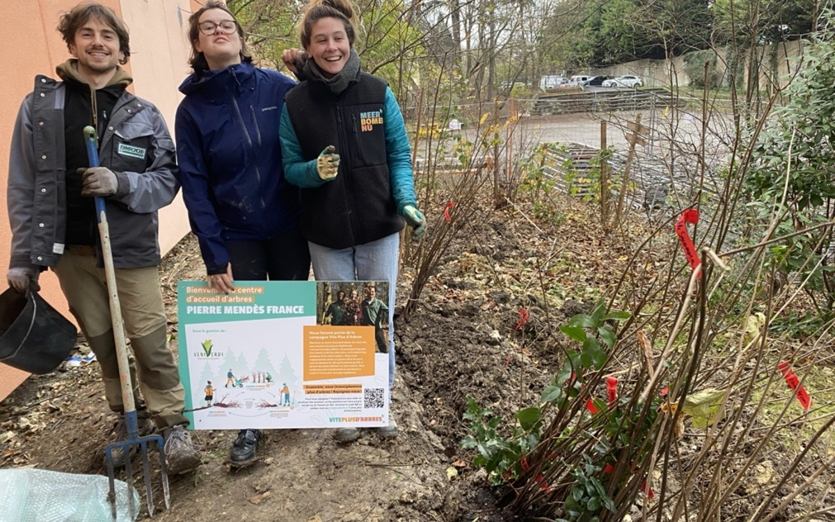 Le centre d'accueil d'arbre du collège Pierre Mendes France