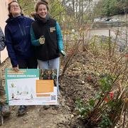 Distribution d'arbres gratuits dans le 20ème