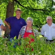 Distribution de plants par Jardins de Tomates