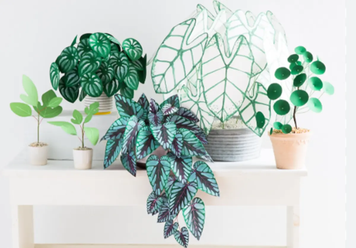 DIY Plantes Vertes