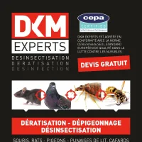 DKM Experts DR