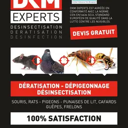 DKM Experts