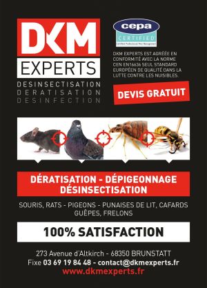 DKM Experts