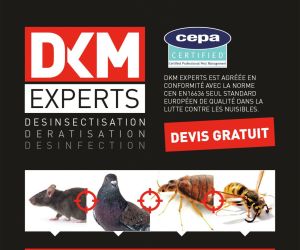 DKM Experts