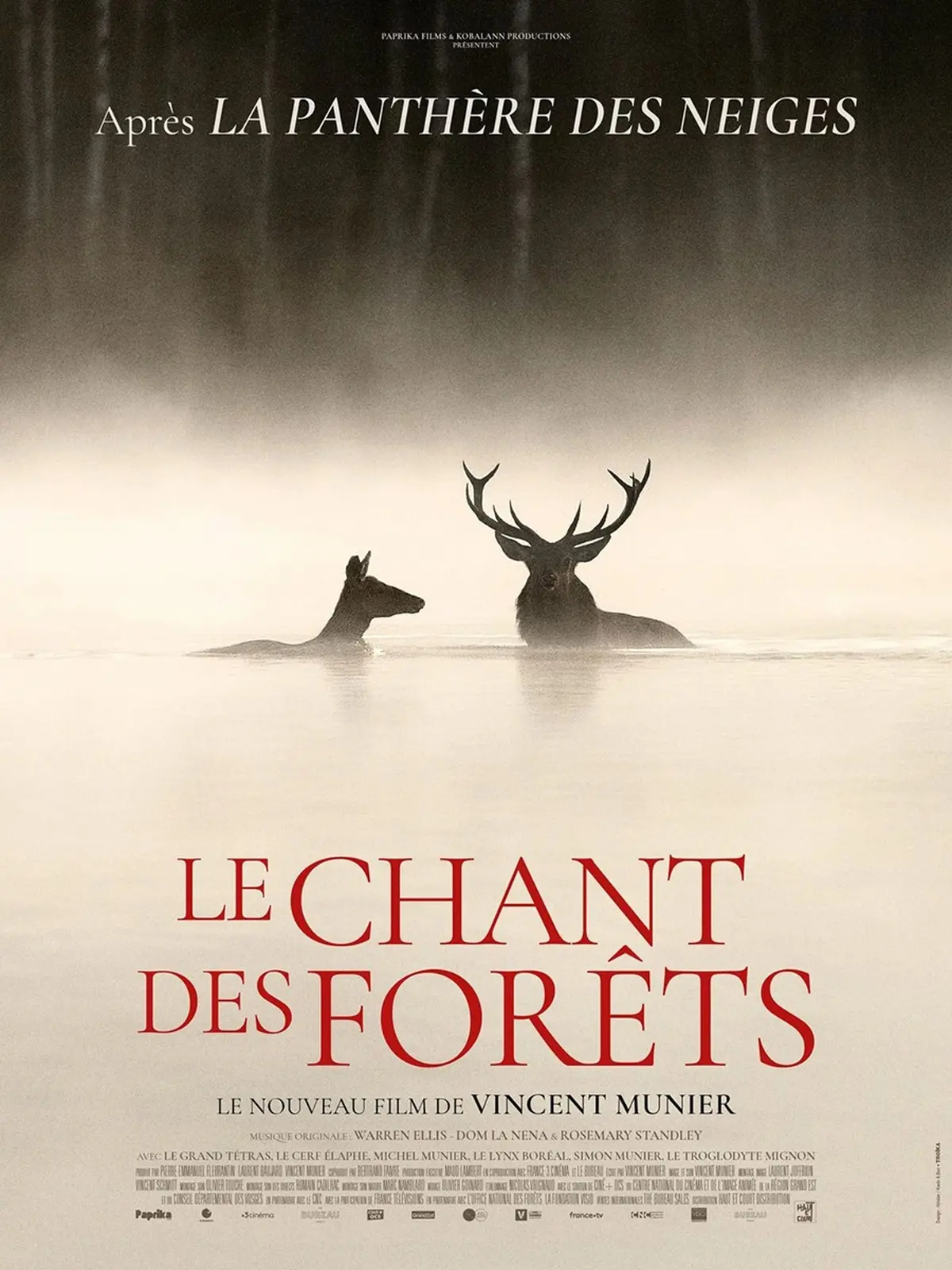 Documentaire Le Chant des forêts