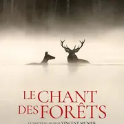 Documentaire Le Chant des forêts