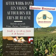 Domaine Besancenot - After work dans les vignes de Beaune