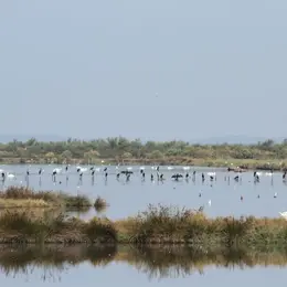 Domaine de Certes et Graveyron : 13 km à pied