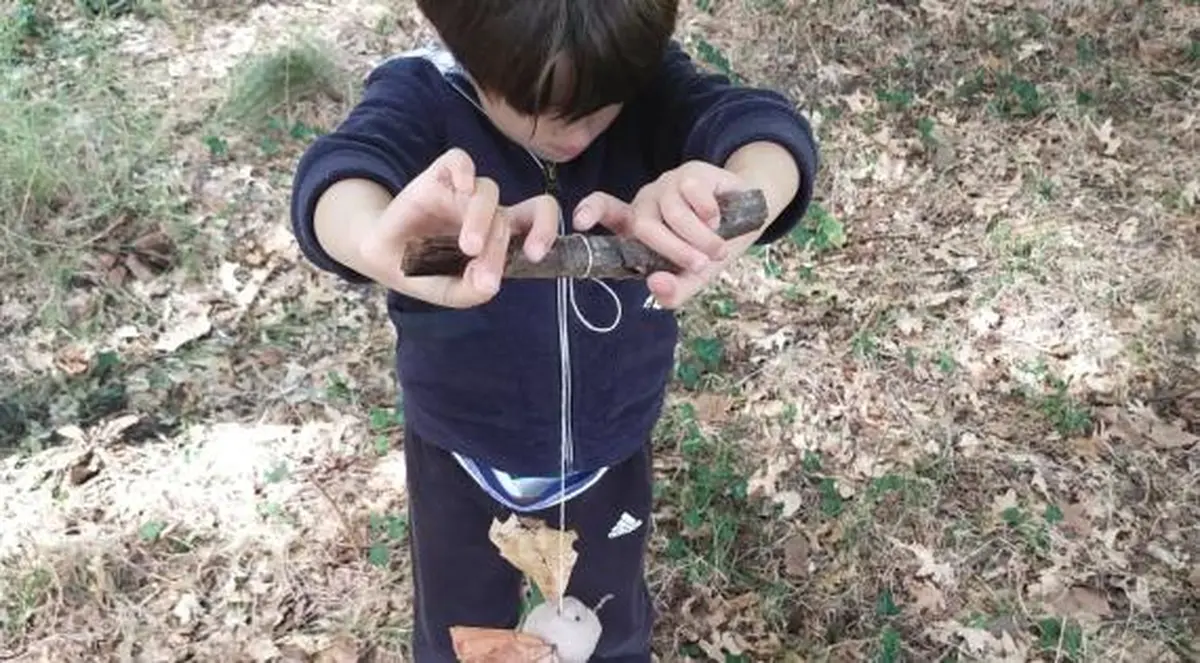 Domaine de Certes et Graveyron : Certes pour tout petits - Des animaux plein la tête