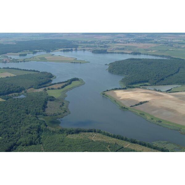 Domaine de Lindre LindreBasse Découverte de la nature