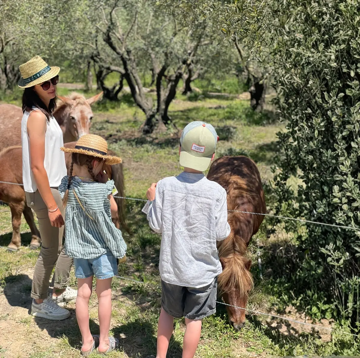 Domaine De L'Oulivie - Sur Le Sentier De Bebelle