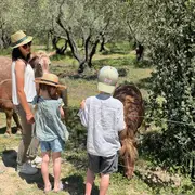 Domaine De L'Oulivie - Sur Le Sentier De Bebelle