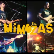 Domaine de Sédières : Apéro concert : The Mimozas