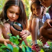 Domaine de Sédières : Devenez explorateur de la nature en forêt