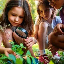 Domaine de Sédières : Devenez explorateur de la nature en forêt