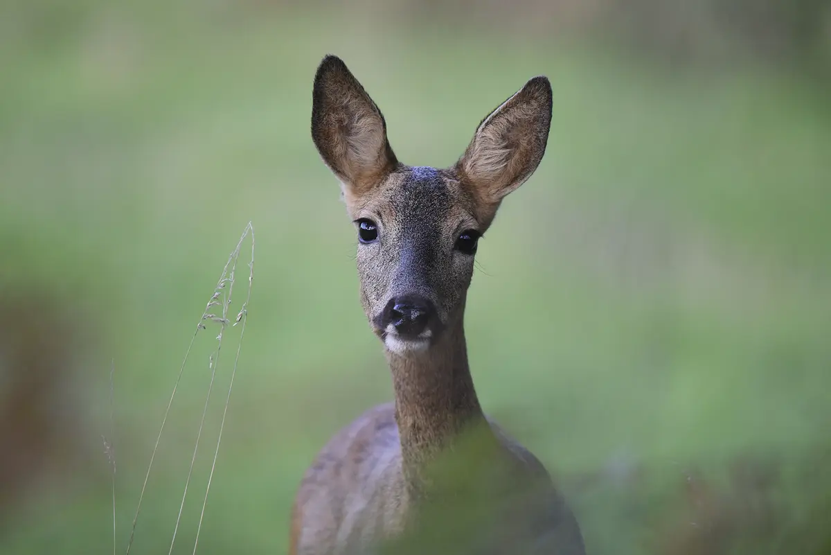 Domaine de Sédières : Exposition en extérieur